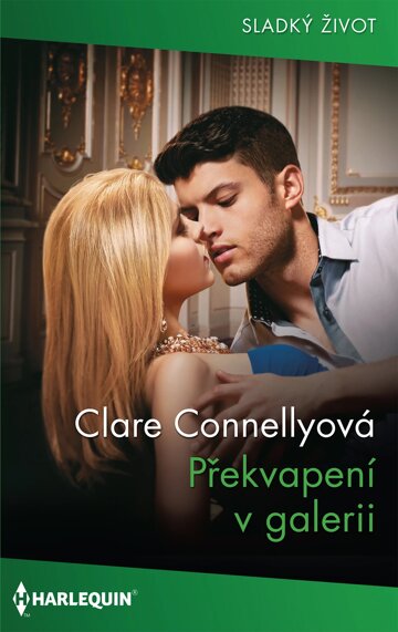 Obálka knihy Překvapení v galerii