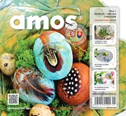 Amos 01/2022