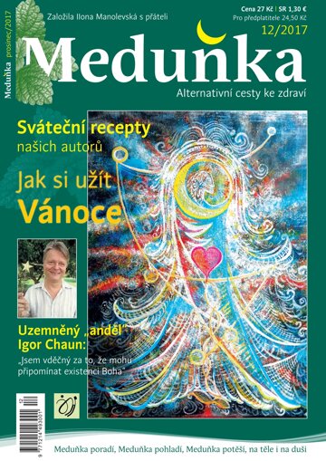 Obálka e-magazínu Meduňka 12/2017