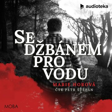 Obálka audioknihy Se džbánem pro vodu