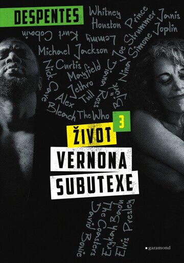 Obálka knihy Život Vernona Subutexe 3
