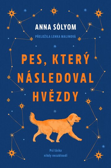 Obálka knihy Pes, který následoval hvězdy