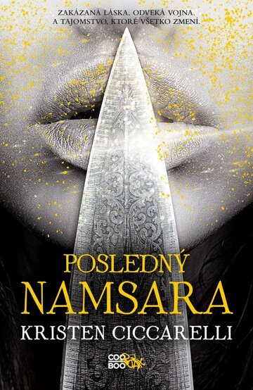 Obálka knihy Posledný Namsara