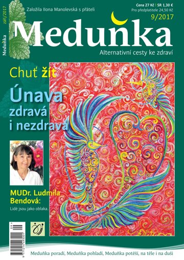 Obálka e-magazínu Meduňka 9/2017