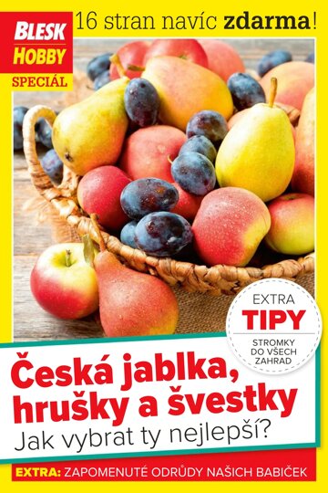 Obálka e-magazínu Příloha Blesk Hobby 1.9.2021