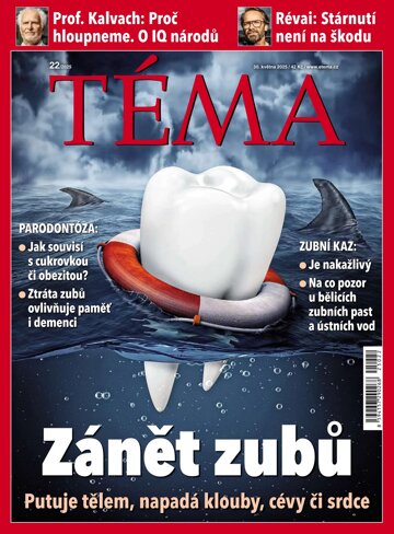 Obálka e-magazínu TÉMA 30.5.2025