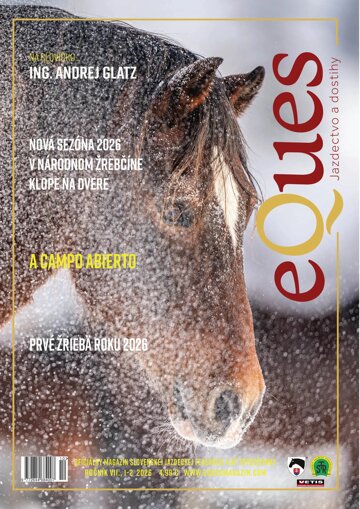 Obálka e-magazínu Január/február eQues