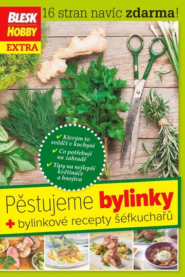 Obálka e-magazínu Příloha Blesku Hobby - 2/2017