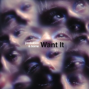 Obálka uvítací melodie Want It