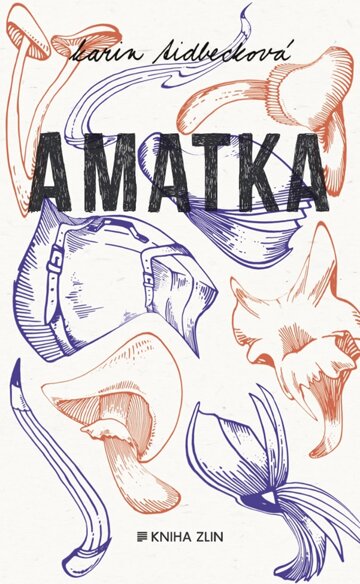 Obálka knihy Amatka