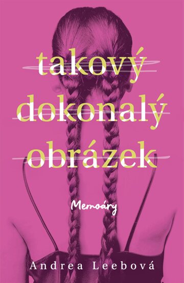 Obálka knihy Takový dokonalý obrázek