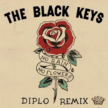 Obálka uvítací melodie No Rain, No Flowers (Diplo Remix)