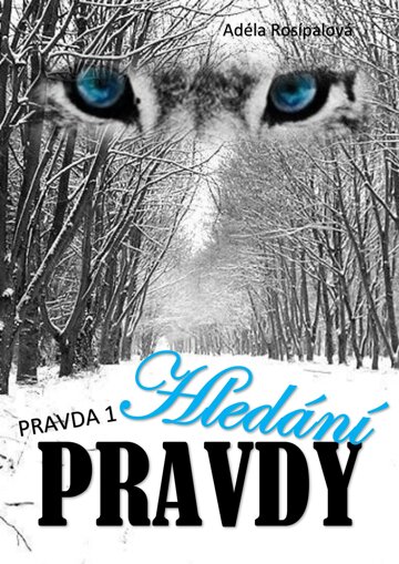 Obálka knihy Hledání pravdy