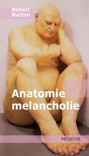 Obálka knihy Anatomie melancholie