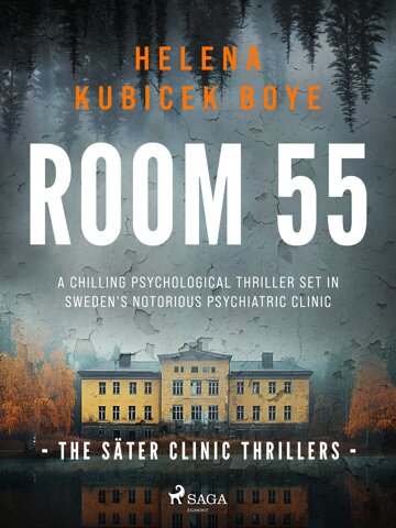 Obálka knihy Room 55