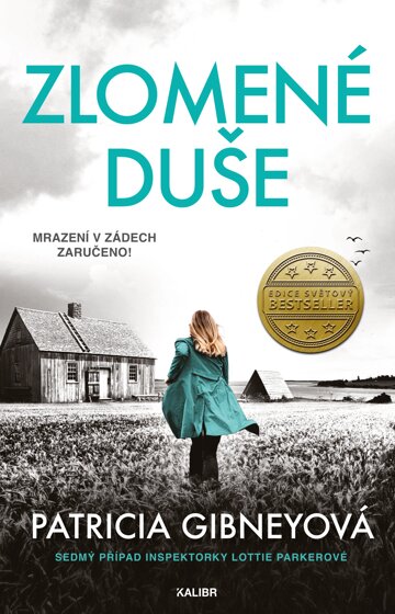 Obálka knihy Inspektorka Lottie Parkerová 7: Zlomené duše