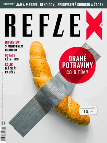 Reflex 21/2023