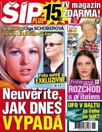 Obálka e-magazínu Magazín Šíp 29/2012
