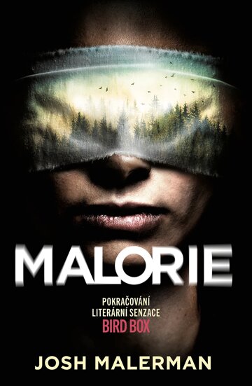 Obálka knihy Malorie