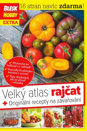 Obálka e-magazínu Příloha Blesk Hobby 6/2017