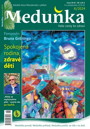 Obálka e-magazínu Meduňka 6/2024