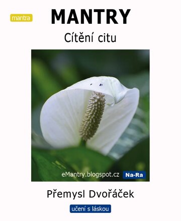 Obálka knihy MANTRY – Cítění citu