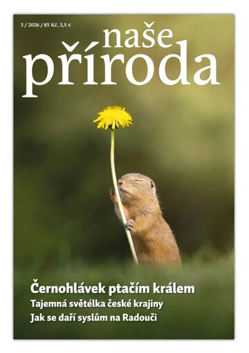 Obálka e-magazínu Naše příroda 3/2026