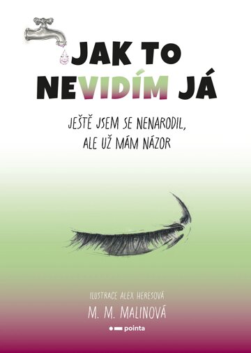Obálka knihy Jak to nevidím já
