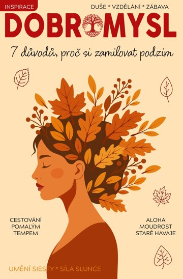Obálka e-magazínu Dobromysl 29