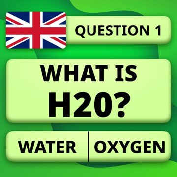 QuizzLand. Trivia Brain Test