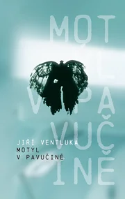 Motýl v pavučině