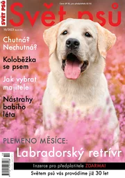 Svět psů 10/2023