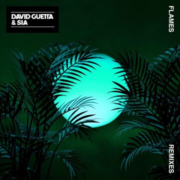 Obálka uvítací melodie Flames (David Guetta Remix)