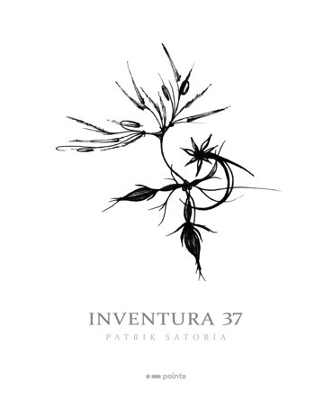 Obálka knihy Inventura 37
