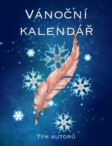 Obálka knihy Vánoční kalendář