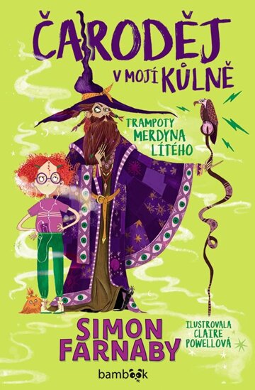 Obálka knihy Čaroděj v mojí kůlně