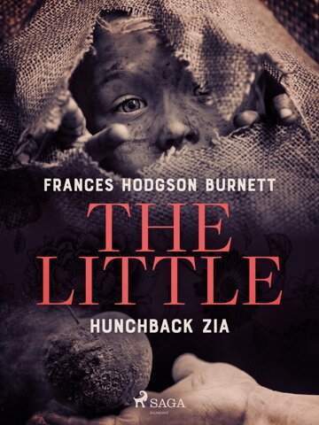 Obálka knihy The Little Hunchback Zia