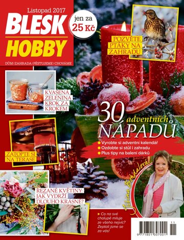 Obálka e-magazínu Blesk Hobby 11/2017