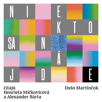 Obálka audioknihy Niekto sa nájde