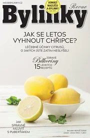 Bylinky 2/20