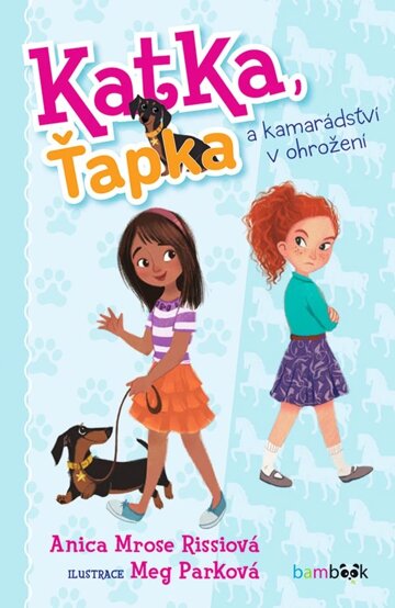 Obálka knihy Katka, Ťapka a kamarádství v ohrožení