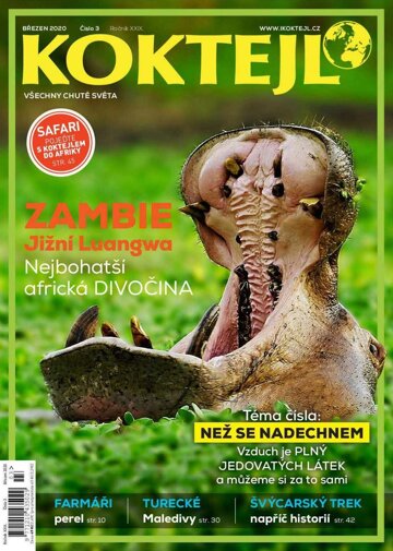 Obálka e-magazínu Koktejl 3/2020