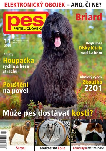 Obálka e-magazínu Pes přítel člověka 11/2015