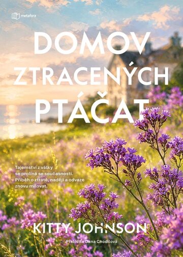 Obálka knihy Domov ztracených ptáčat