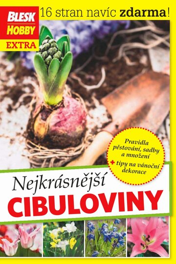 Obálka e-magazínu Příloha Blesk Hobby 9/2015