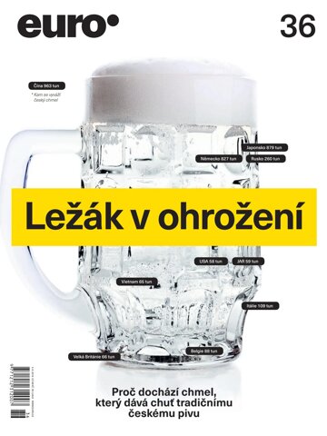 Obálka e-magazínu EURO 36/2016