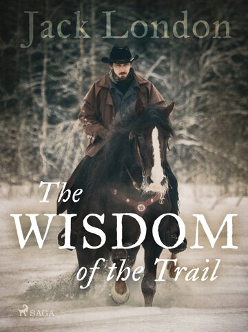 Obálka knihy The Wisdom of the Trail