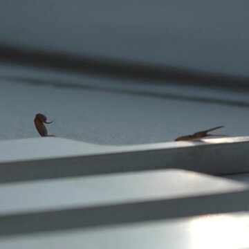 Obálka uvítací melodie Duro