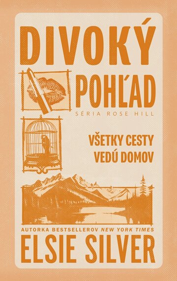 Obálka knihy Divoký pohľad