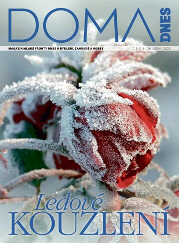 Obálka e-magazínu Doma DNES 26.1.2022